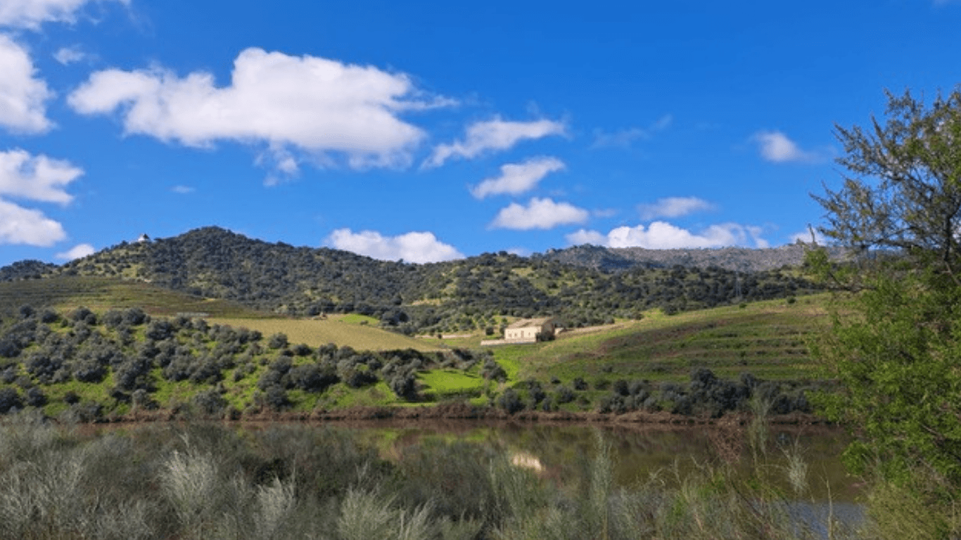 Buying a Farm in Portugal: Four Days on the Road with our American Clients