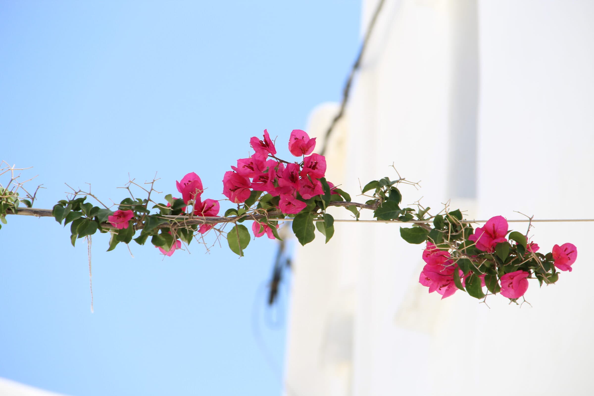 Property Ownership & Land in Portugal